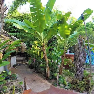 la-casa-de-los-ninos-del-arbol.quintano-roohotels.com/