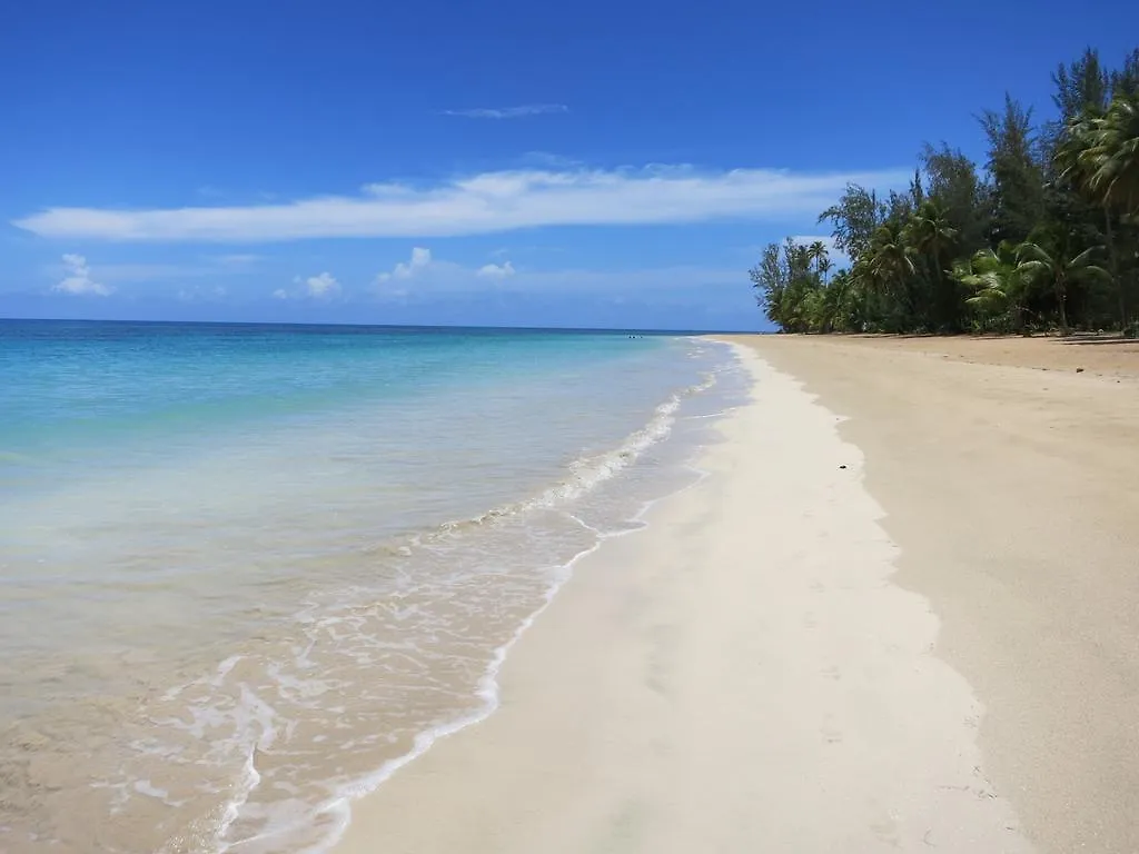 Casa Delfin Guest House Las Terrenas