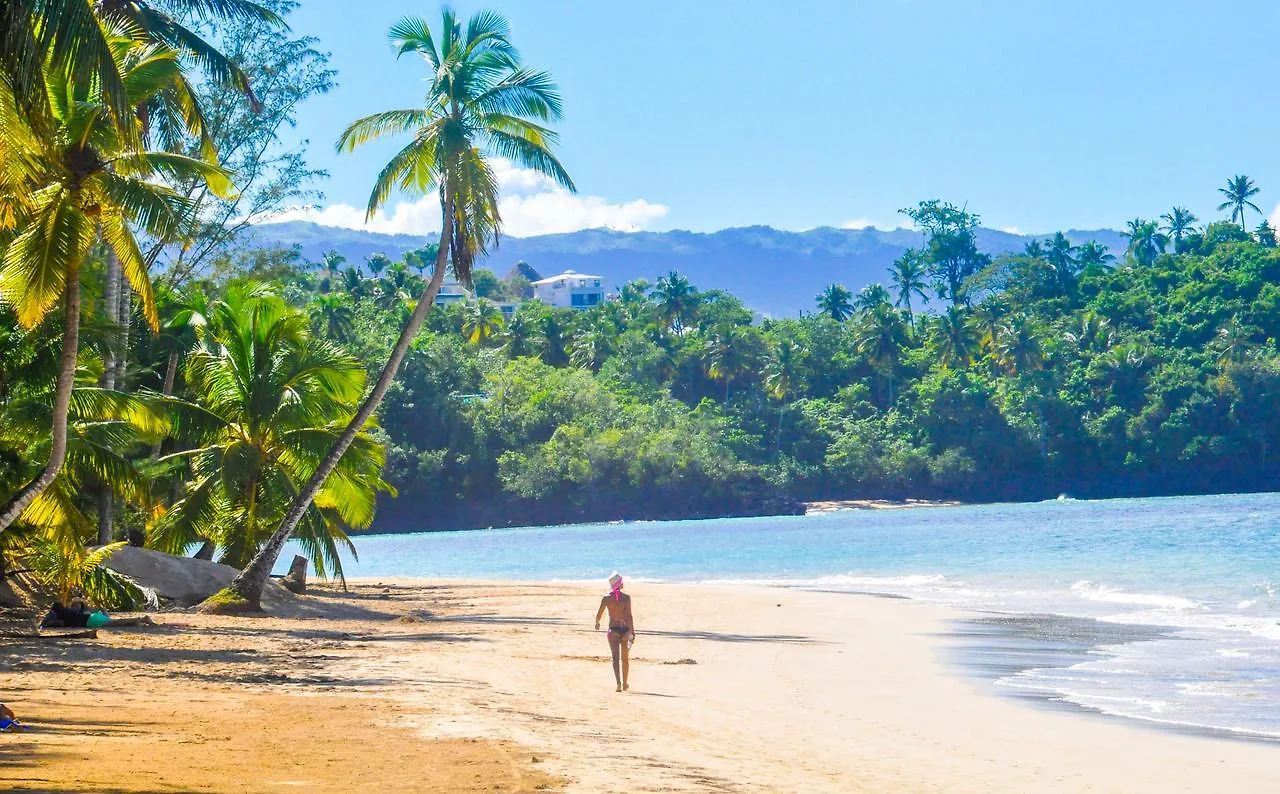 Casa Delfin Guest House Las Terrenas