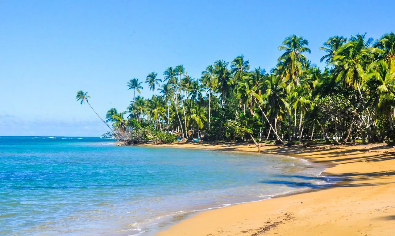 Casa Delfin Guest House Las Terrenas